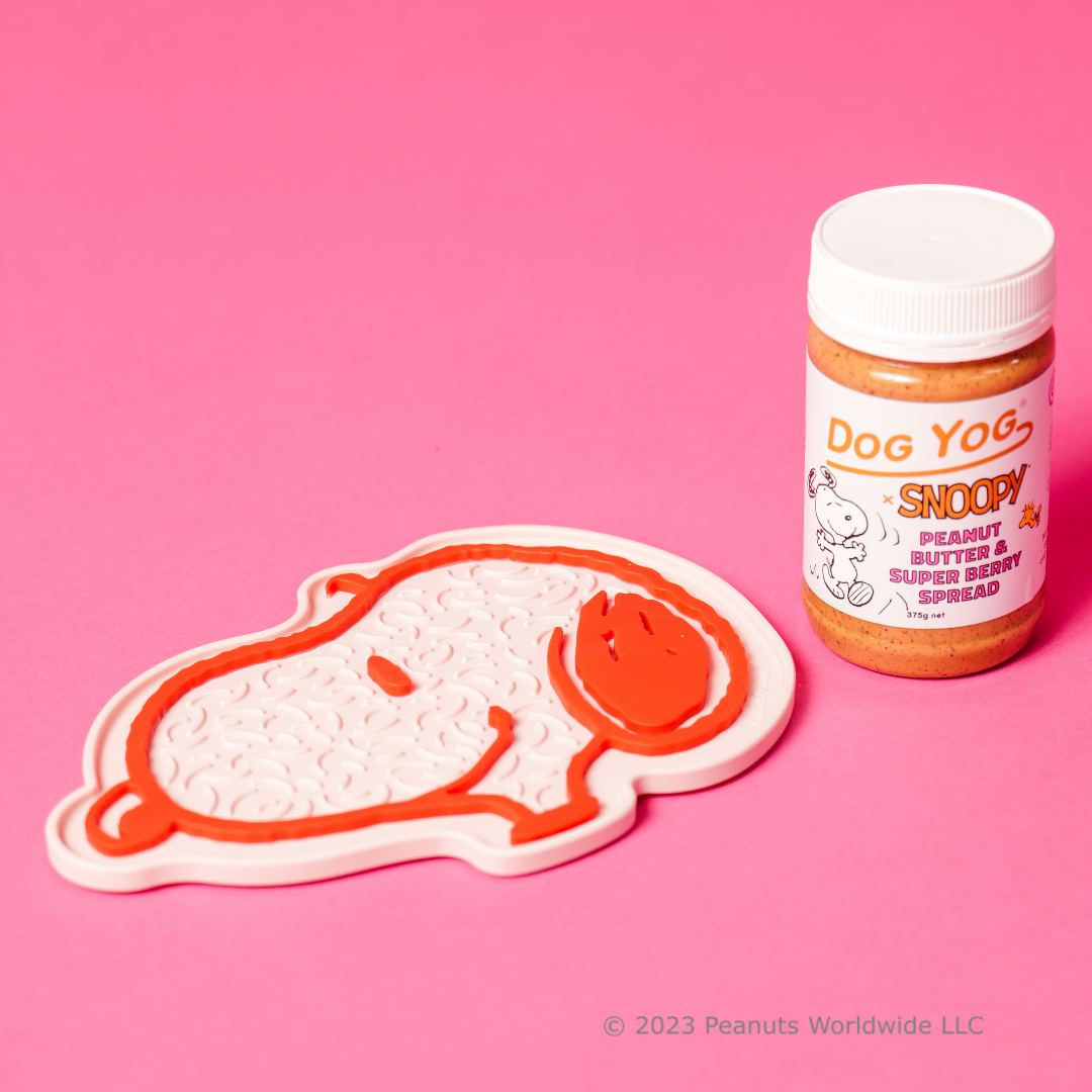 Dog Yog x Snoopy 'The Yog Mat'