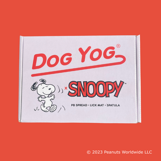 The Dog Yog x Snoopy Gift Box