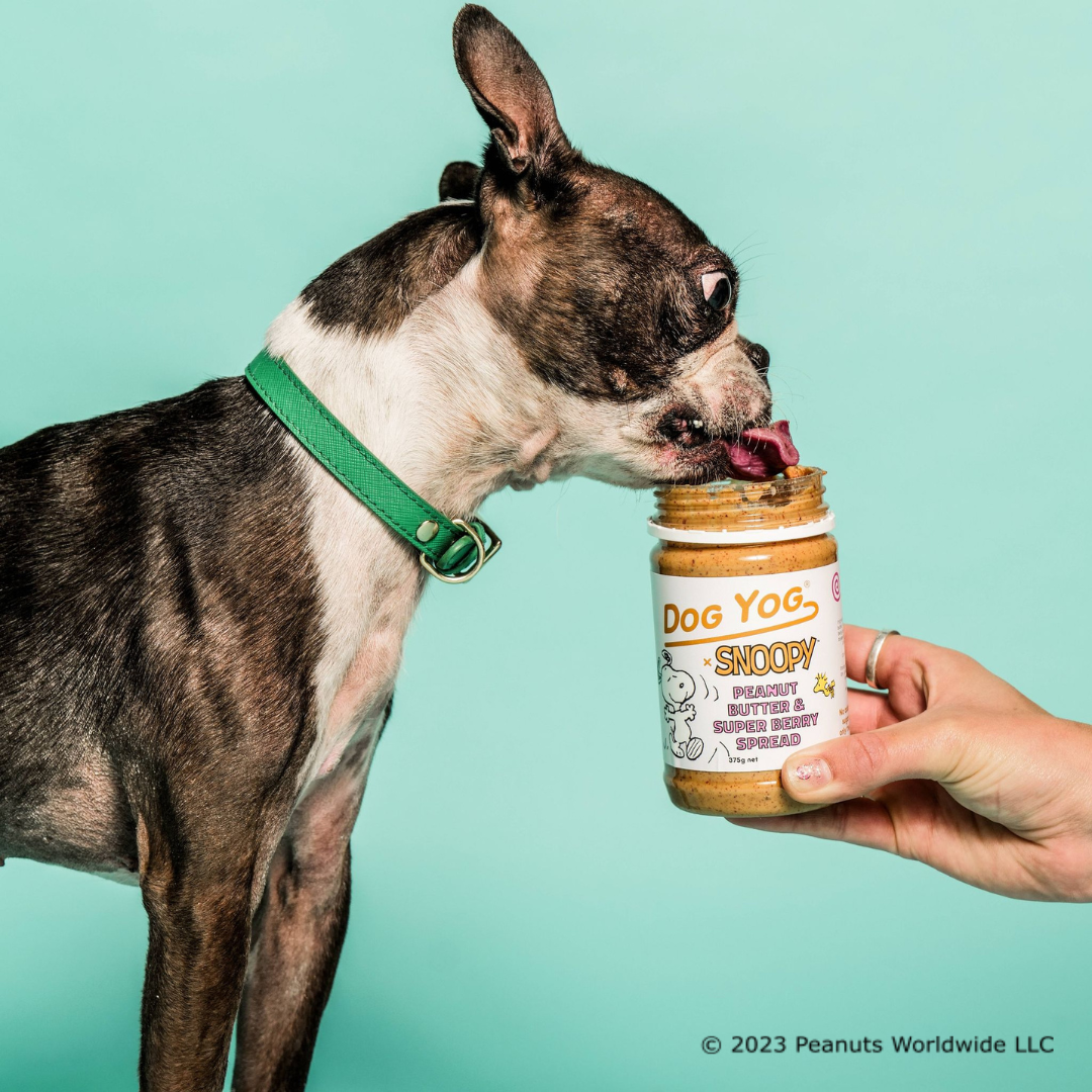 Dog Yog x Snoopy Peanut Butter & Super Berry Spread