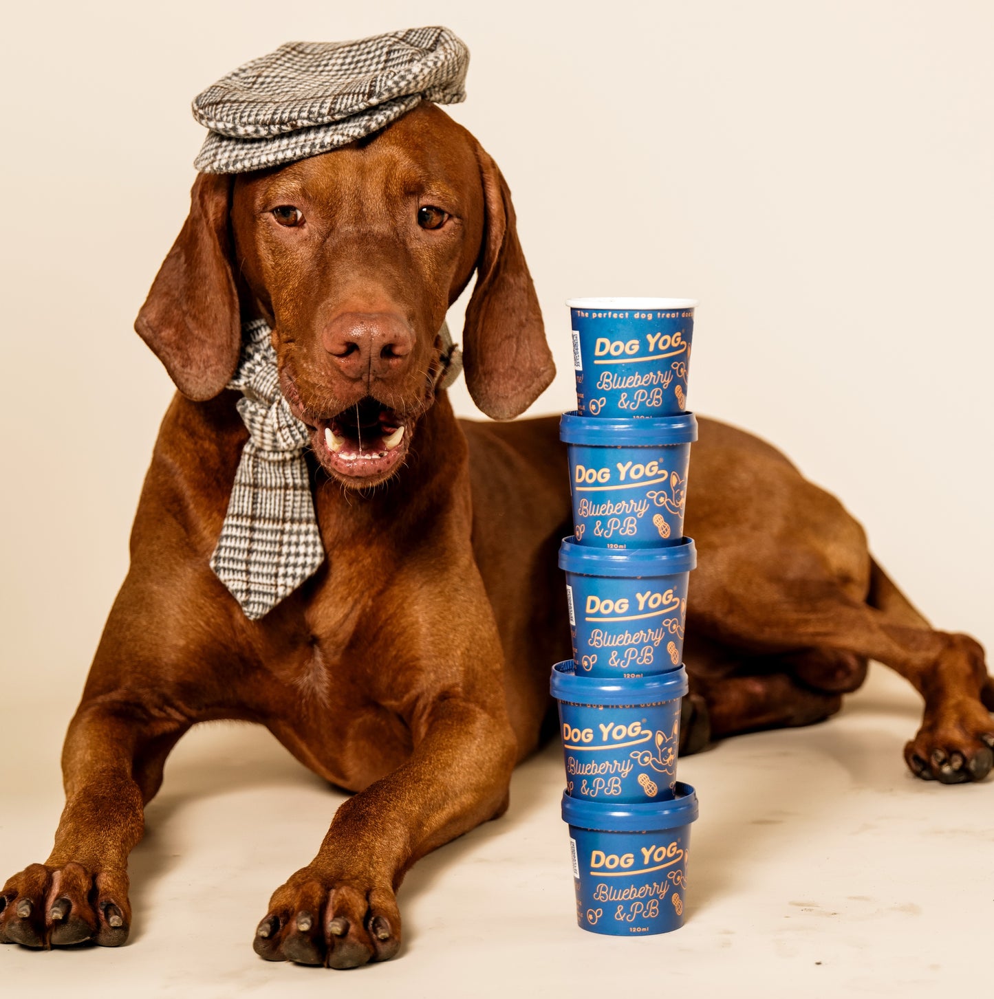 Blueberry & Peanut Butter Yog 12 pack
