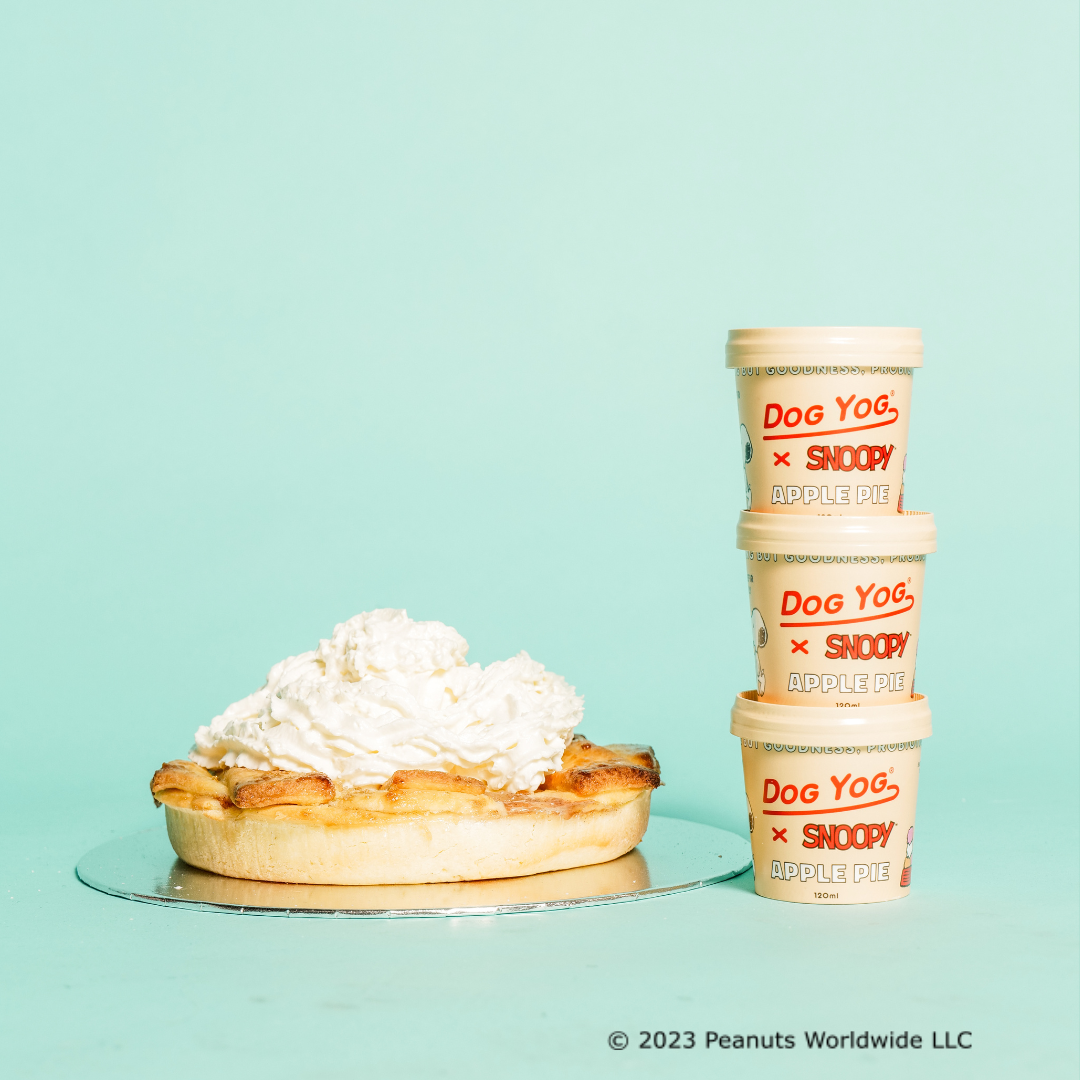 Dog Yog x Snoopy Apple Pie Yog 12 pack