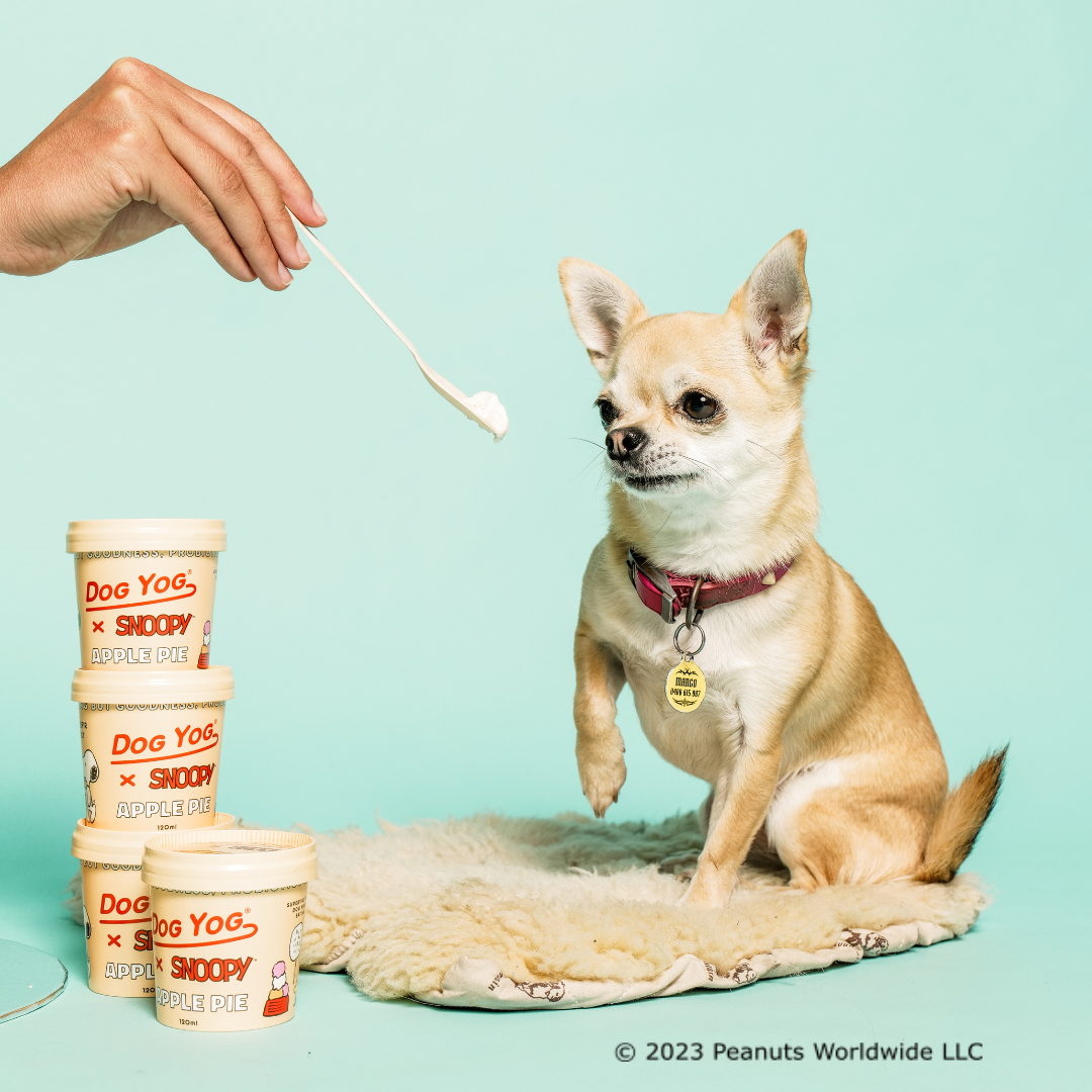 Dog Yog x Snoopy Apple Pie Yog 12 pack