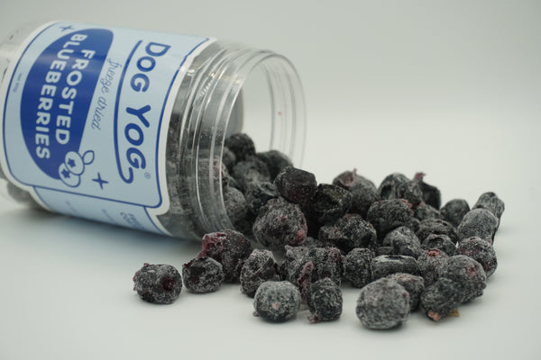 Frosted Blueberries - alt view