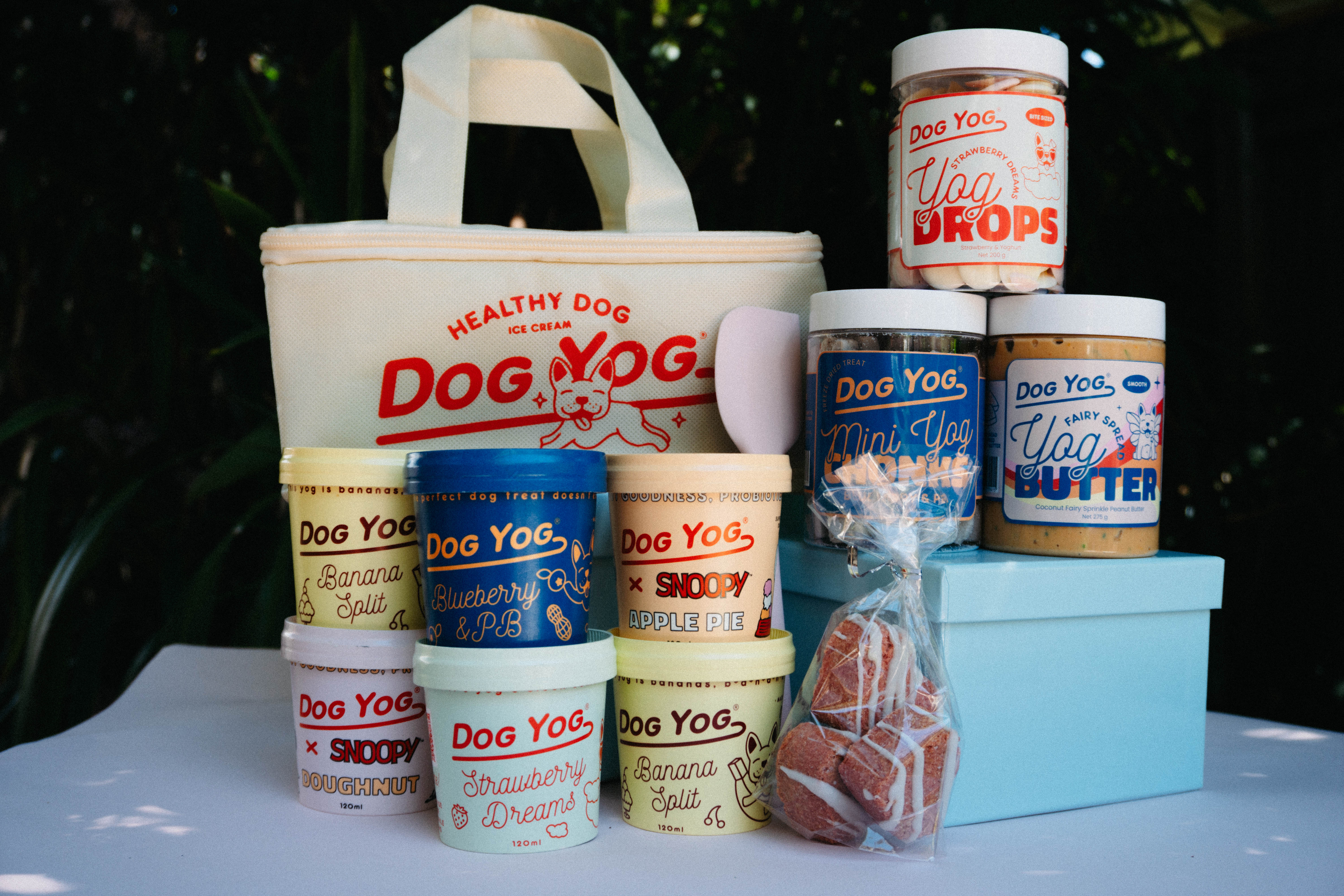 Dog Yog Gift Bundle