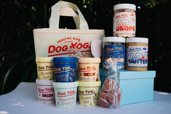 Dog Yog Gift Bundle