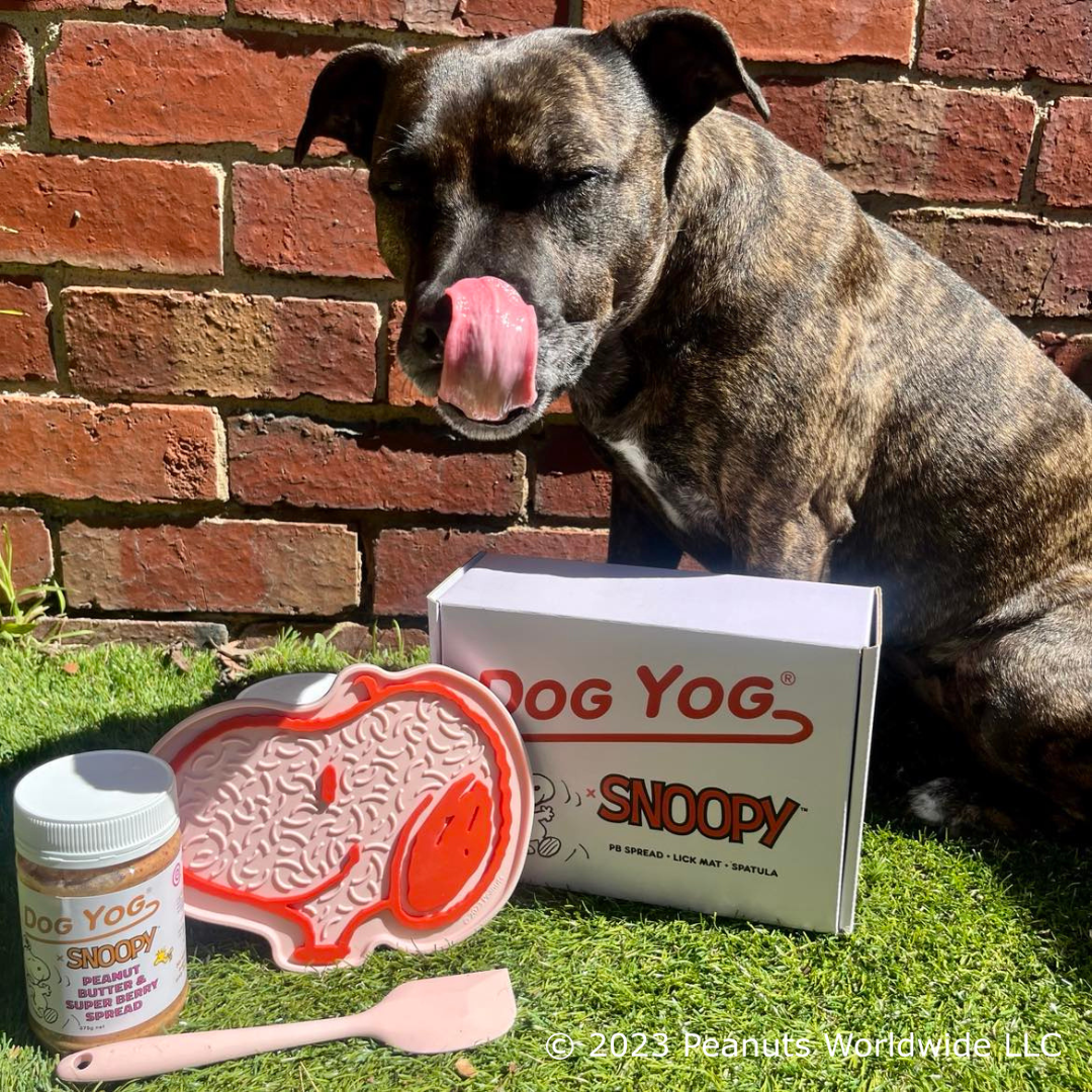 The Dog Yog x Snoopy Gift Box