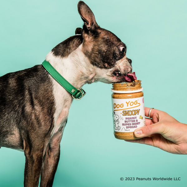 Snoopy - PB & Super Berry Spread - alt view