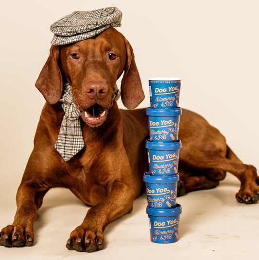 Blueberry & Peanut Butter Yog 12 pack